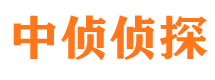 南岗市婚外情调查